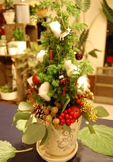 2008年12月上旬<br />クリスマスレッスン<br />クリスマスツリー