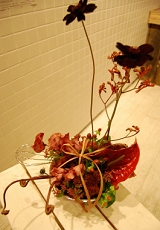 2009ǯ2<br />choco(祳)