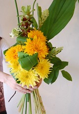 2009ǯ7<br />ҥޥȤä«