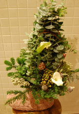 2010年12月中旬<br />クリスマスブーツのツリーアレンジ